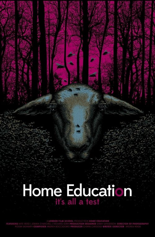 Home Education