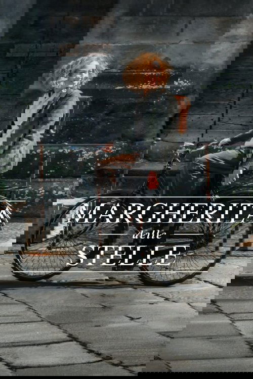 Margherita delle stelle