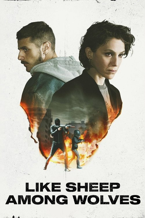 Like Sheep Among Wolves