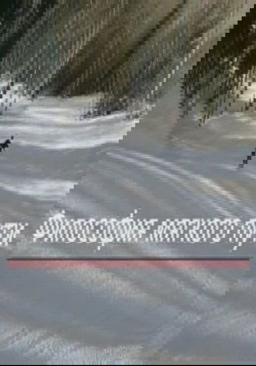 The Philosophy of the Soft Path