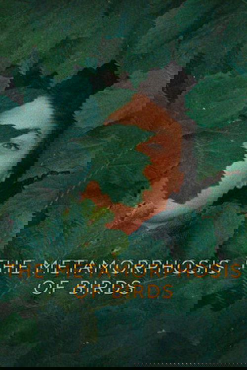 The Metamorphosis of Birds